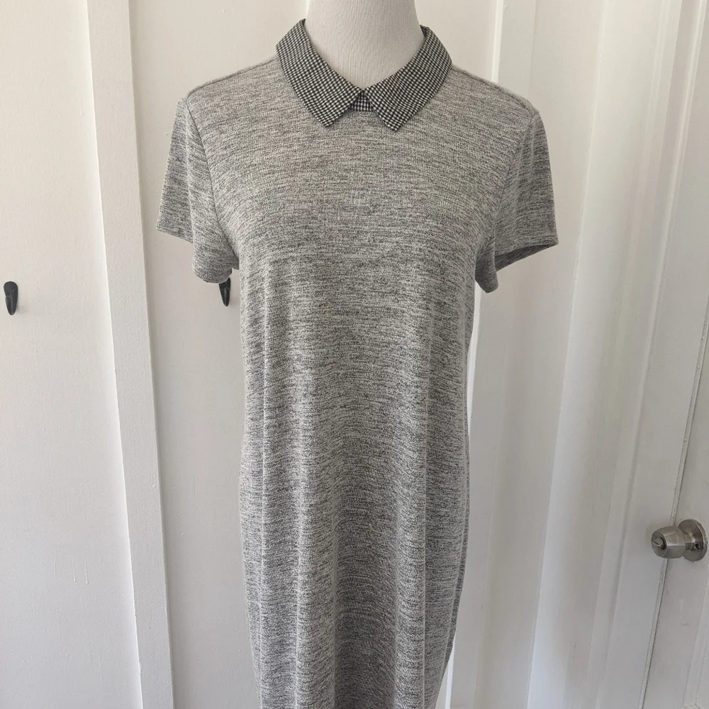 Maison Jules Peter pan collar dress - Picture 11 of 13